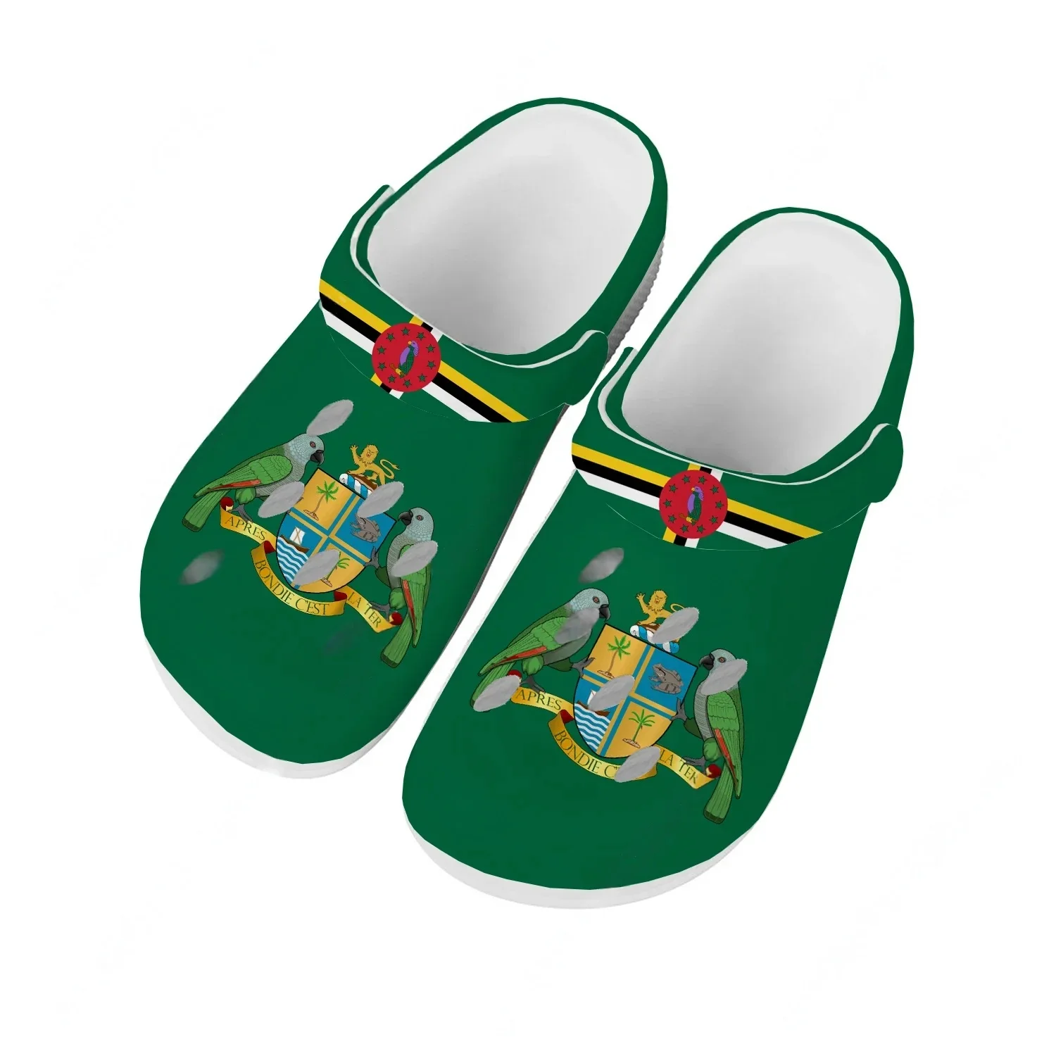 Home Outside Bathroom - Commonwealth Of Dominica Water Shoes Men